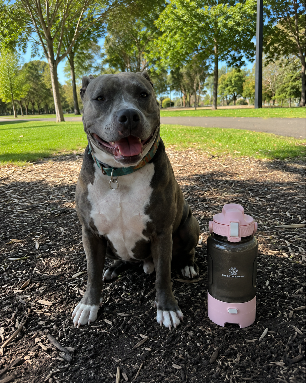 The Bottle Buddy™ – 1.5L Dog & Human Water Bottle