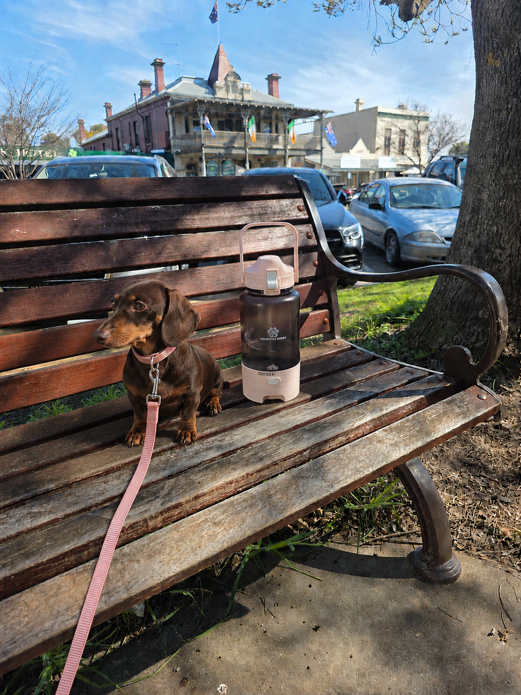 The Bottle Buddy™ – 1.5L Dog & Human Water Bottle